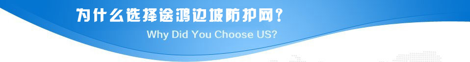 途鸿边坡防护网