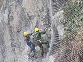 布鲁克网 布鲁克网