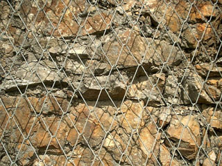 布鲁克网 布鲁克网