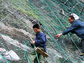 布鲁克网 布鲁克网